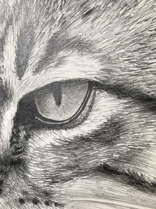 drawing as a Christmas present