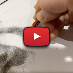 Video of dog drawing