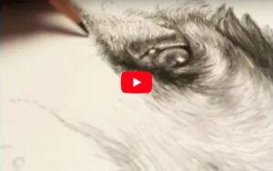 Timelapse video of drawing